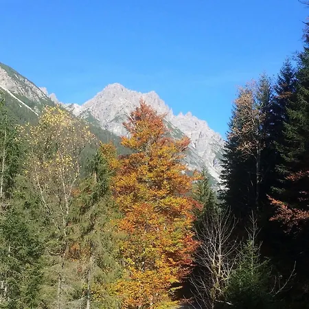 Alpenperle
