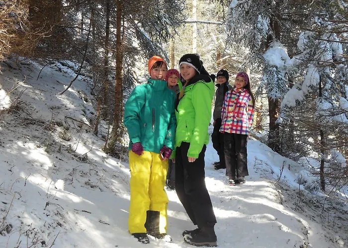 Alpenperle Konukevi 4*