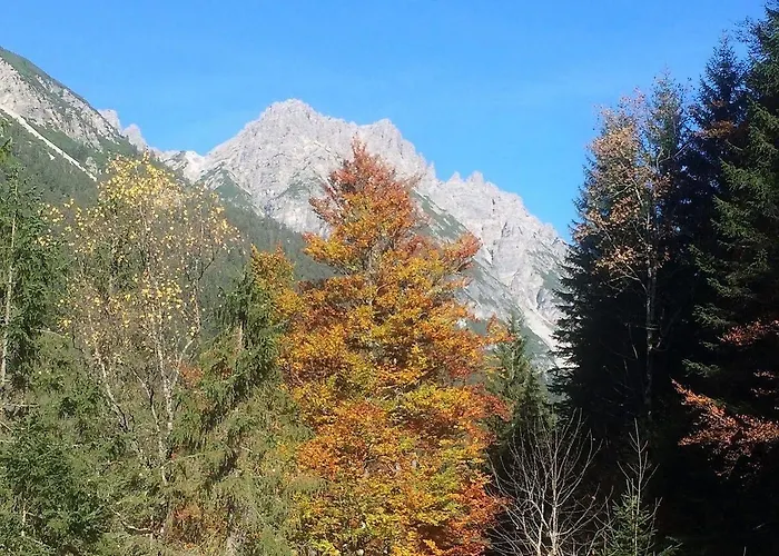 Alpenperle